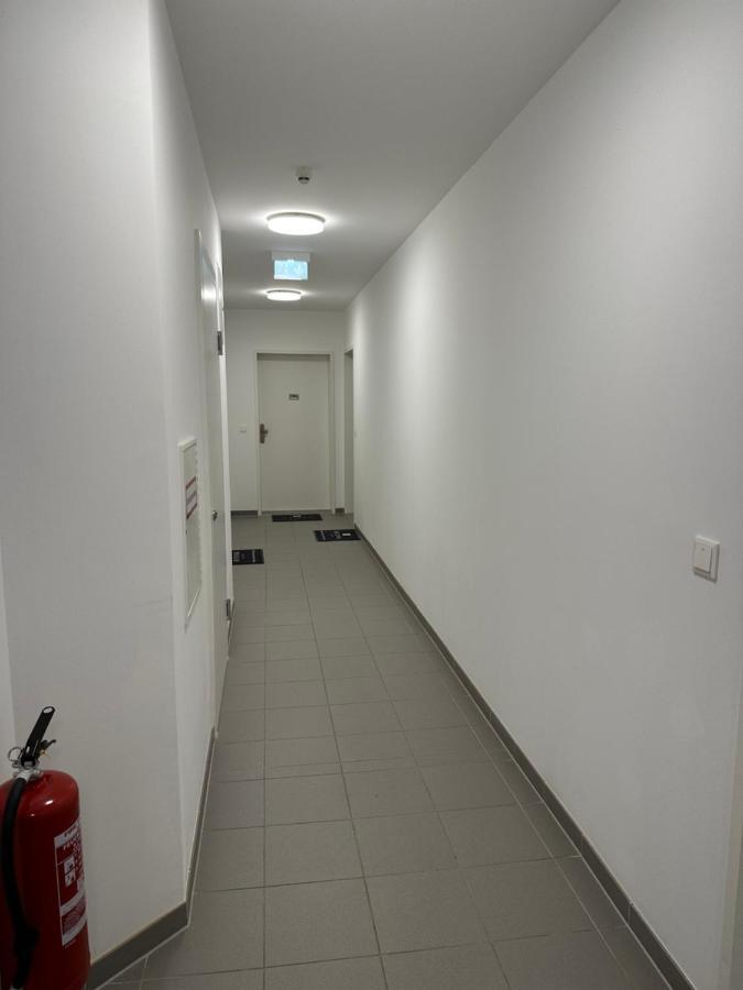 Amazing City Center Apartment Wina Bagian luar foto